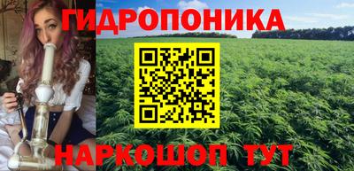 соль ск Новокубанск