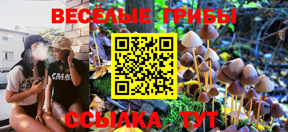 Псилоцибиновые грибы мицелий Буйнакск