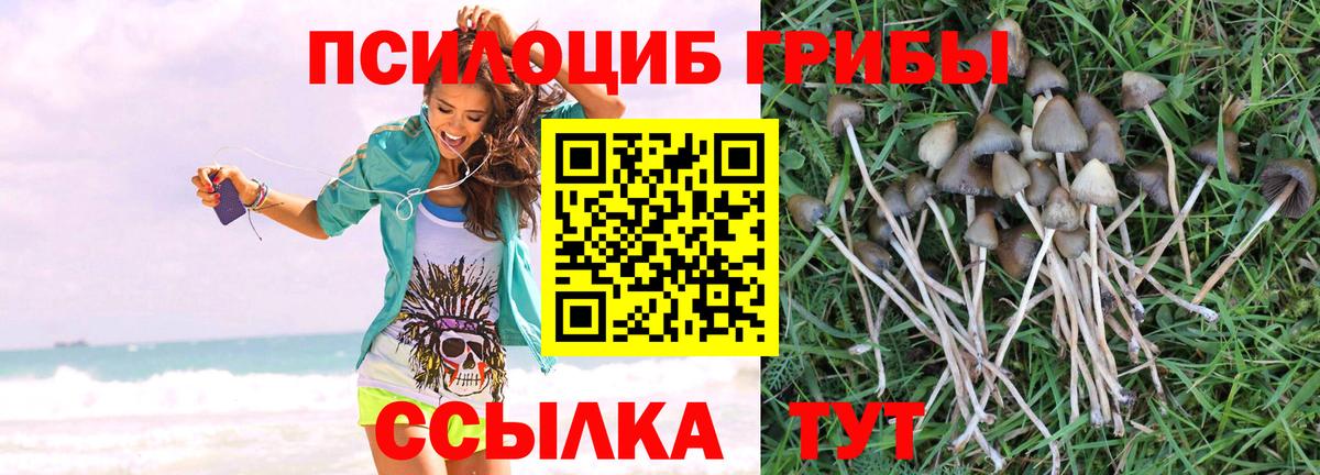 Галлюциногенные грибы Magic Shrooms  Вход с VPN  Буйнакск 